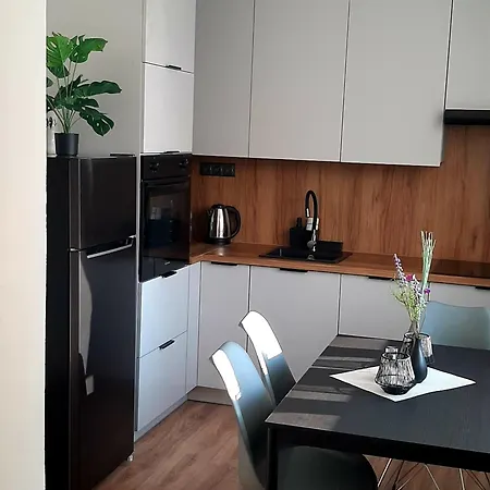 Apartma Vrbice Bohumin Exterior photo